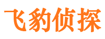 韶山市私家侦探